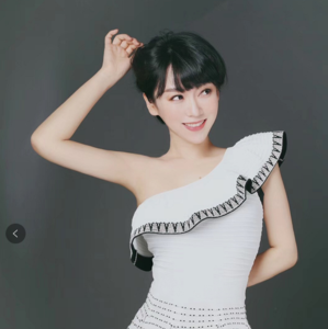 苏航著名双语主持人